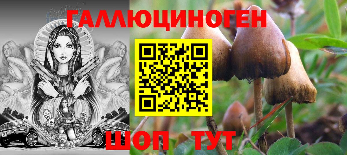 Псилоцибиновые грибы Magic Shrooms  Вход с VPN  Чехов 